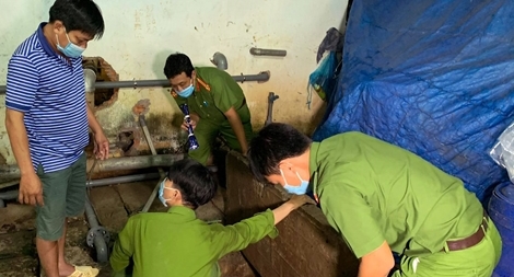 Công ty Châu Việt Long bị phạt 370 triệu đồng vì xả thải trực tiếp ra sông Hậu