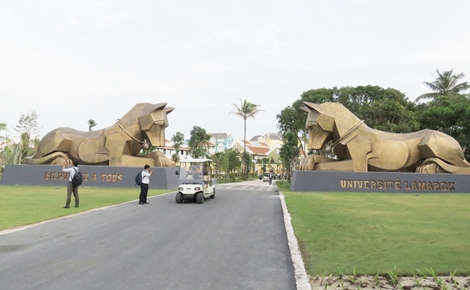 Nữ tỉ phú Ấn Độ tổ chức lễ cưới đẳng cấp ở đảo ngọc Phú Quốc