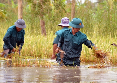 Hạn chế các hoạt động chưa cần thiết để khắc phục hậu quả thiên tai