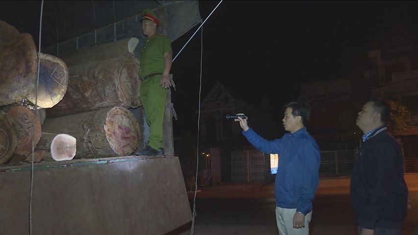 Dùng hồ sơ giả để vận chuyển gỗ trái phép