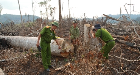 Nguyên Phó Chủ tịch huyện bị khởi tố vì cấp đất sai quy định