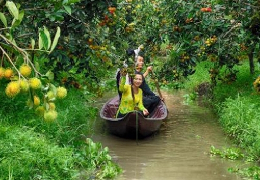 Sẵn sàng "Ngày hội du lịch sinh thái Phong Điền - Cần Thơ 2017"