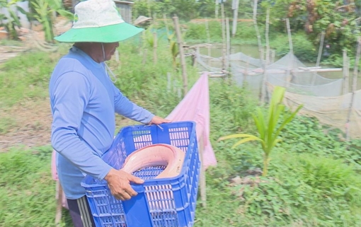 Bắt được con cá trê nặng 9 kg, toàn thân có màu trắng
