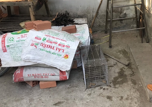 Đâm hàng xóm tử vong vì chiếc bẫy mèo