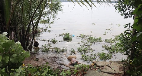 Thi thể nữ sinh mất tích 2 ngày  nổi trên sông Vàm Cỏ