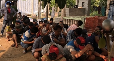 Triệt phá trường gà, tạm giữ 25 người và khoảng 500 triệu đồng 