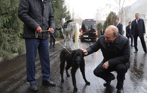 Tổng thống Putin được tặng ngựa, chó quý khi công du Kyrgyzstan